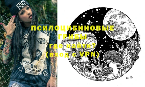 дживик Алексин