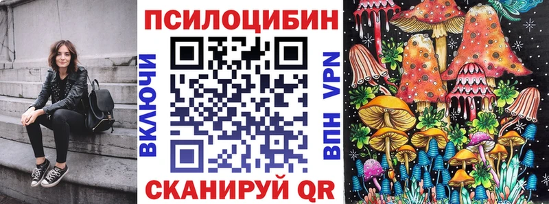 цены   кракен онион  Псилоцибиновые грибы мухоморы  Люберцы 